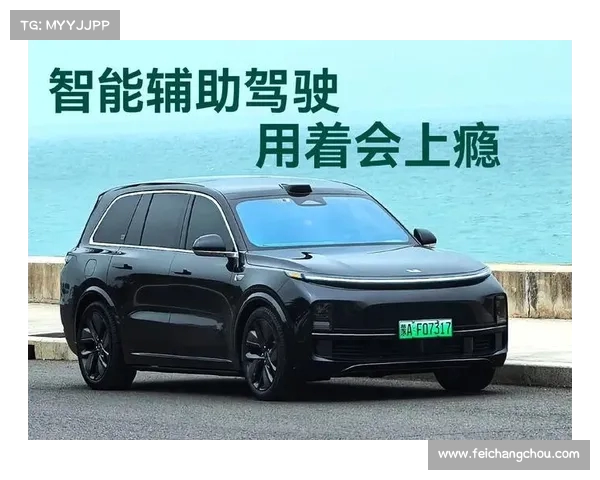 岳云鹏朱广权共同体验理想汽车探索智能驾驶与未来出行的全新体验